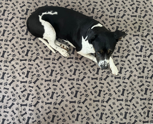 Sunny Puppy XX Large 180x180cm Reusable Dog Mats NEW PRINTS
