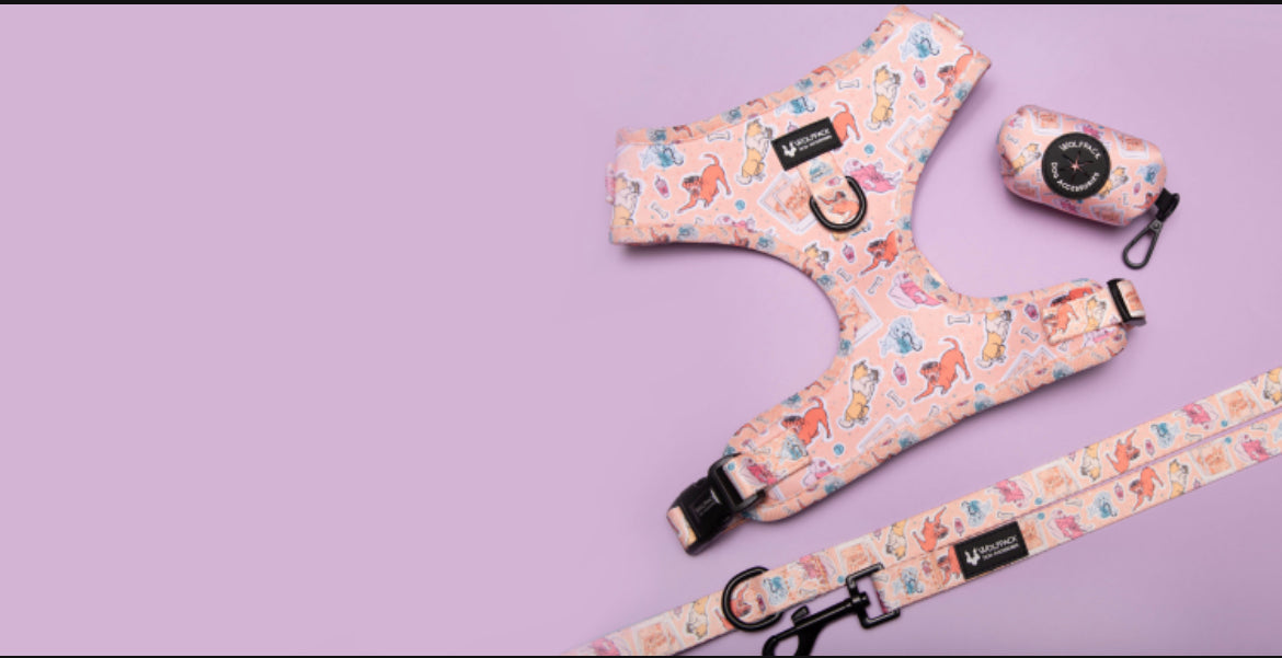 WolfPack Dog Chest Harness