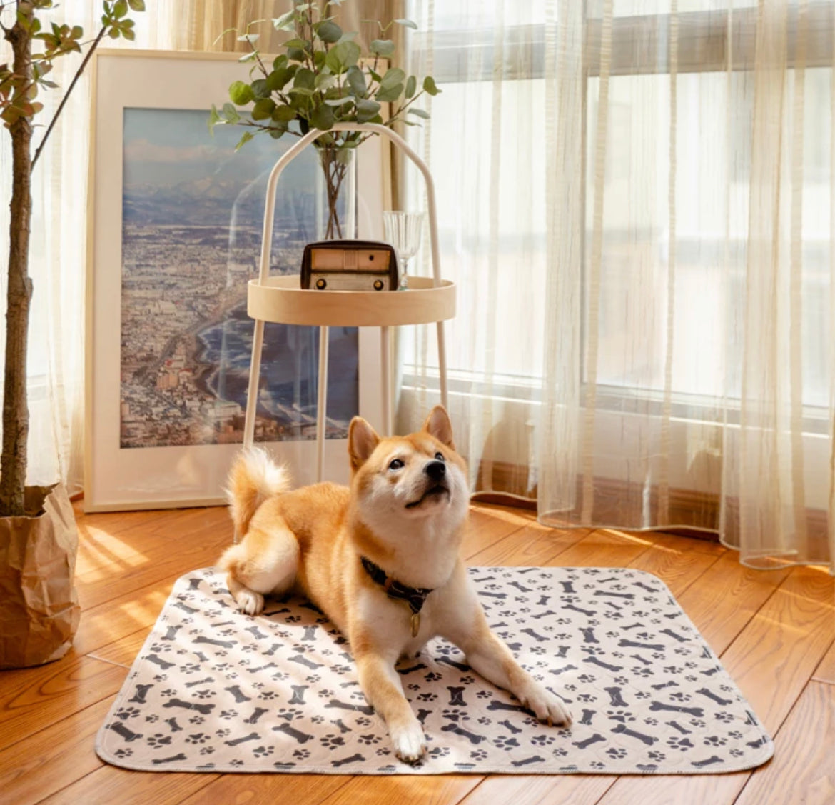 Sunny Puppy Reusable Dog Mats