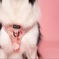 WolfPack Dog Chest Harness