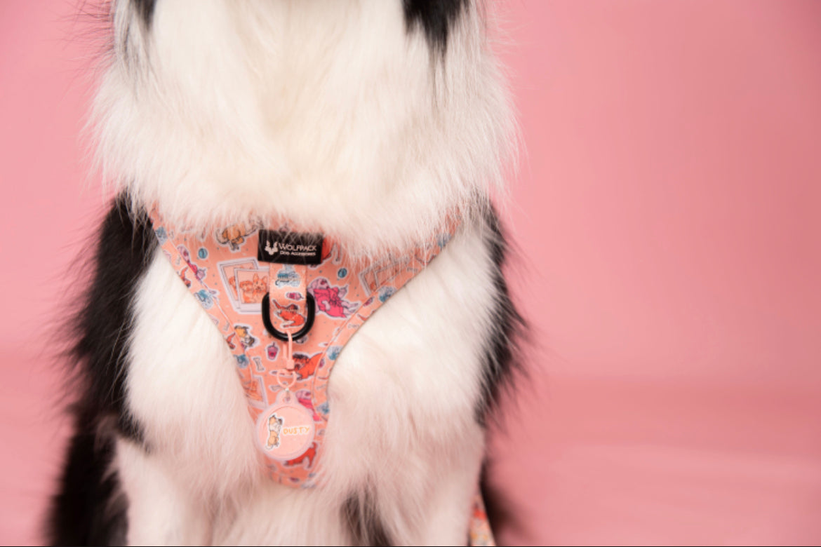 WolfPack Dog Chest Harness