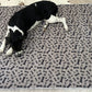 Sunny Puppy 90x120cm Reusable Dog Mats