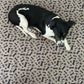 Sunny Puppy 118x118cm Reusable Dog Mats