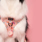 WolfPack Dog Chest Harness