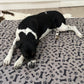 Sunny Puppy 120x150cm Reusable Dog Mats