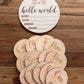 Rainbow Wooden Age Milestone Disc Set