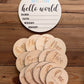 Rainbow Wooden Age Milestone Disc Set